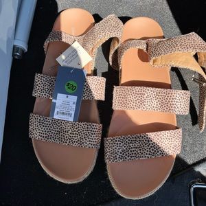 Target Leopard Print Espardilles Women Size 9. NWT